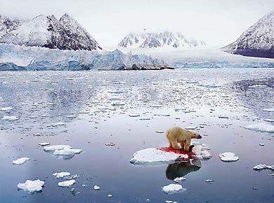 Foto: World Press Photo/AE