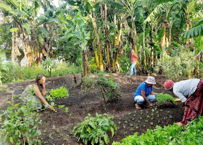 3 de outubro – Dia da Agroecologia